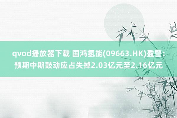 qvod播放器下载 国鸿氢能(09663.HK)盈警：预期中期鼓动应占失掉2.03亿元至2.16亿元