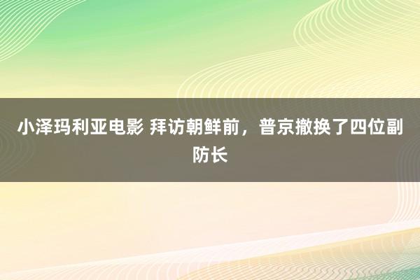 小泽玛利亚电影 拜访朝鲜前，普京撤换了四位副防长