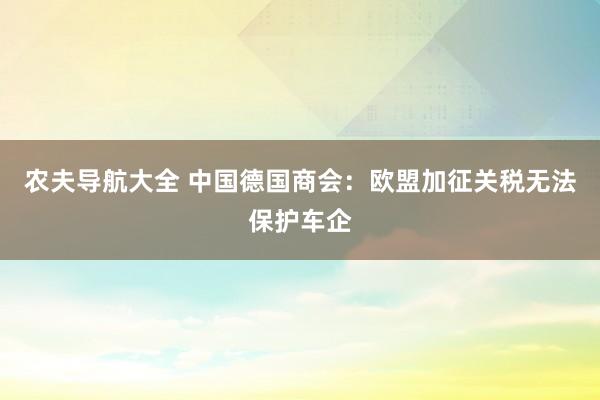 农夫导航大全 中国德国商会：欧盟加征关税无法保护车企