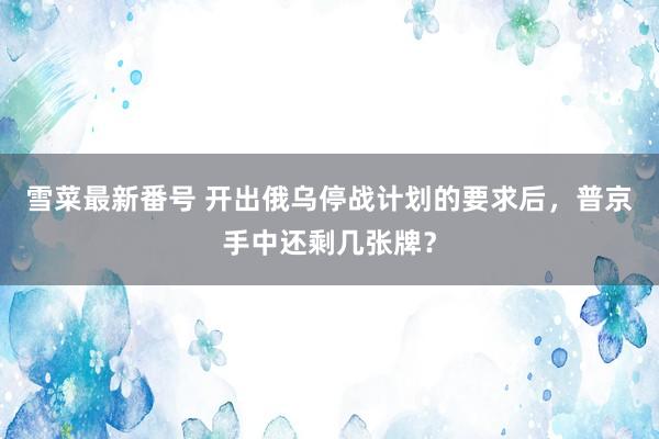 雪菜最新番号 开出俄乌停战计划的要求后，普京手中还剩几张牌？