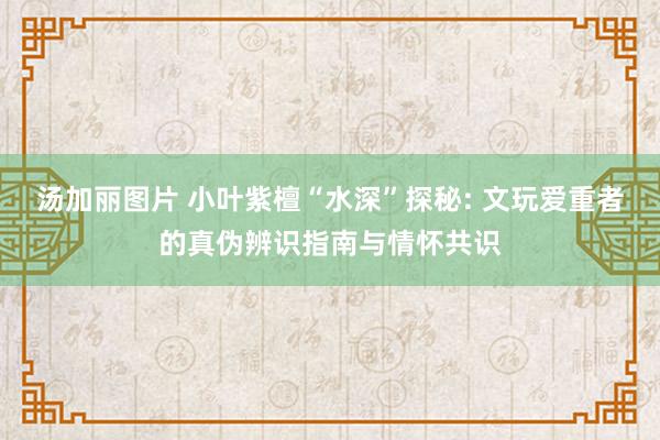 汤加丽图片 小叶紫檀“水深”探秘: 文玩爱重者的真伪辨识指南与情怀共识