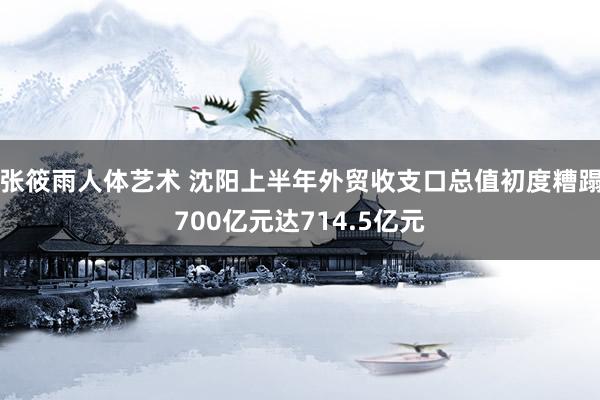 张筱雨人体艺术 沈阳上半年外贸收支口总值初度糟蹋700亿元达714.5亿元