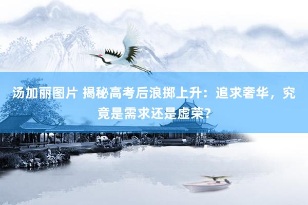 汤加丽图片 揭秘高考后浪掷上升：追求奢华，究竟是需求还是虚荣？