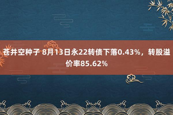 苍井空种子 8月13日永22转债下落0.43%，转股溢价率85.62%