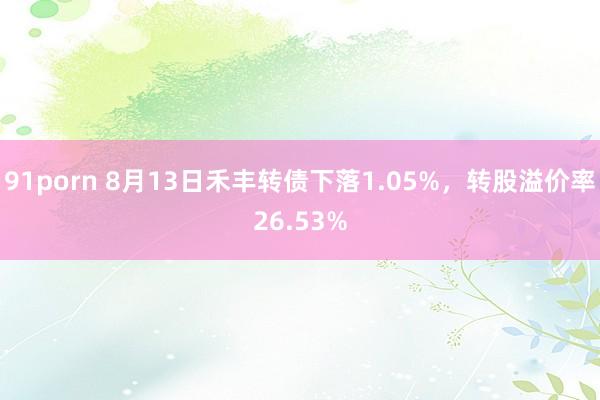 91porn 8月13日禾丰转债下落1.05%，转股溢价率26.53%