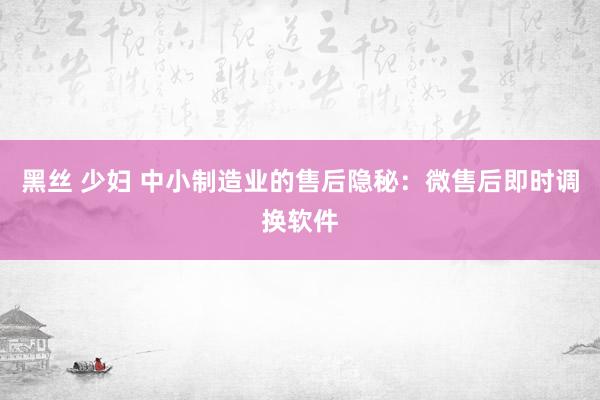 黑丝 少妇 中小制造业的售后隐秘：微售后即时调换软件