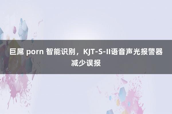 巨屌 porn 智能识别，KJT-S-II语音声光报警器减少误报