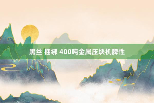 黑丝 捆绑 400吨金属压块机脾性