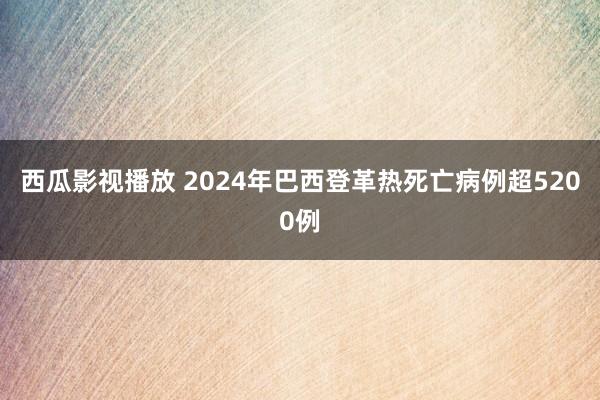 西瓜影视播放 2024年巴西登革热死亡病例超5200例