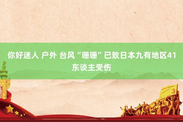 你好迷人 户外 台风“珊珊”已致日本九有地区41东谈主受伤