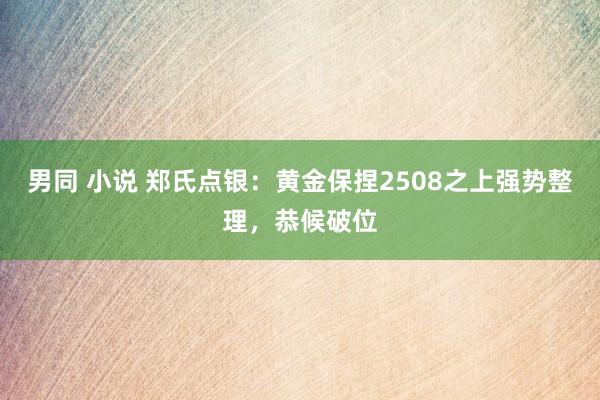 男同 小说 郑氏点银：黄金保捏2508之上强势整理，恭候破位