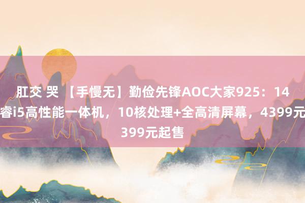 肛交 哭 【手慢无】勤俭先锋AOC大家925：14代酷睿i5高性能一体机，10核处理+全高清屏幕，4399元起售